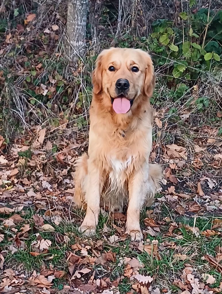 Usko de la tribu de cookenjab 