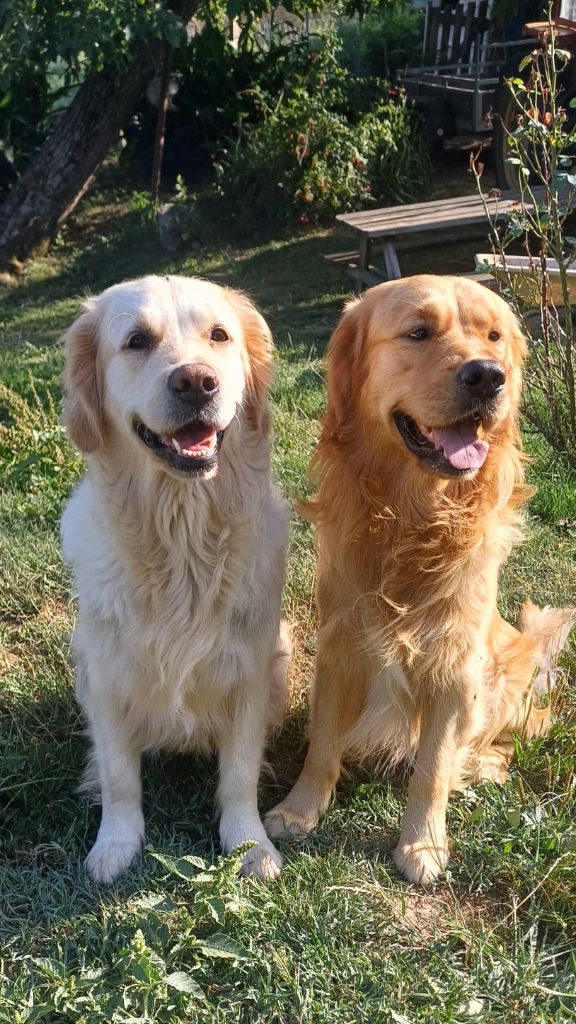 Les bébés 2025 shanone×Usko de la Tribu de cookenjab 